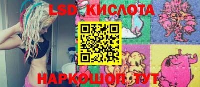 индика Новозыбков