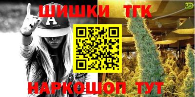 индика Новозыбков