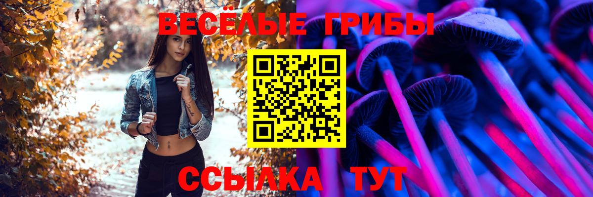 Галлюциногенные грибы GOLDEN TEACHER  Вход с VPN  Сургут 